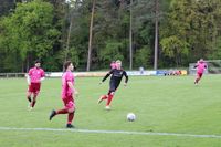 BVL gegen Dahl-D&ouml;renhagen 21.04 (14)